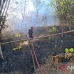 Damkar Tulungagung amankan permukiman dari karhutla