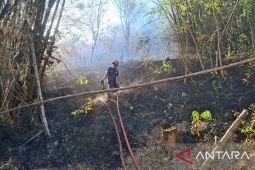 Damkar Tulungagung amankan permukiman dari karhutla