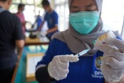 DPKH Tulungagung lakukan vaksinasi rabies gratis