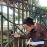 Pemkab Tulungagung segera revitalisasi kebun satwa mini