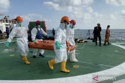 Divers recover five bodies in Virgo ferry search on day 16: Basarnas