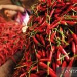 BPS sebut kenaikan harga cabai rawit dan cabai merah meluas
