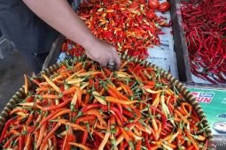 Harga pangan Rabu ini, cabai rawit Rp99.550/kg dan telur ayam Rp31.550/kg