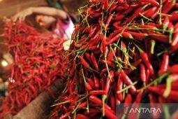 Harga pangan Senin ini, cabai rawit Rp113.750/kg dan telur ayam Rp29.400/kg
