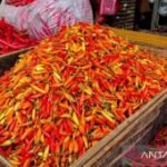 Harga pangan Kamis ini, cabai rawit Rp82.700/kg dan telur ayam Rp29.650/kg