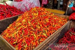 Harga pangan Kamis ini, cabai rawit Rp82.700/kg dan telur ayam Rp29.650/kg