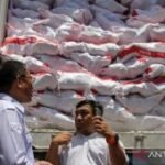 ID FOOD buka akses pasar daging ayam petelur Jatim ke Makassar-Papua