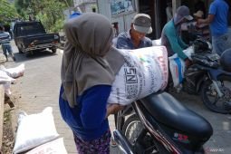 Capaian alokasi pupuk bersubsidi
