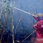 BMKG deteksi 1.299 titik panas di Kalimantan Selatan