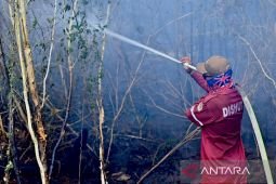 BMKG deteksi 1.299 titik panas di Kalimantan Selatan