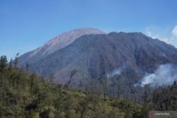 Dampak kebakaran terhadap ekosistem Semeru