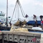 BP BUMN apresiasi Bulog jaga ketahanan pangan nasional