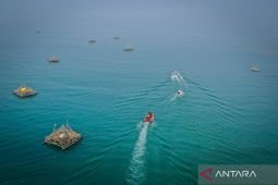 Operasi SAR jurnalis hingga Samudra Hindia