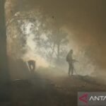 BPBD : Kebakaran TWA Kawah Ijen merembet ke Pos 4 jalur pendakian