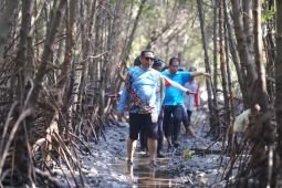 Wali kota Probolinggo dongkrak ekonomi lewat pengembangan ekowisata mangrove
