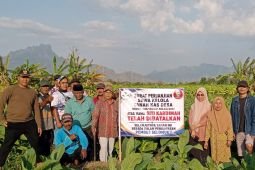 DPMD Situbondo: Pembatalan sewa TKD Selomukti sesuai prosedur