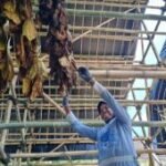 Pemkab Lumajang bantu petani tembakau dengan DBHCHT