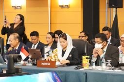 Indonesia calls for stronger ASEAN semiconductor ecosystem
