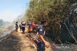 Pamekasan libatkan 378 personel TNI-Polri cegah karhutla