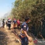 Pemkab Pamekasan perkuat mitigasi untuk cegah kebakaran