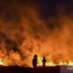 Kemenhut imbau masyarakat waspadai karhutla hingga awal November 2026
