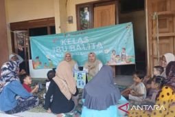 Pemkab Sampang tekan stunting melalui program kelas ibu balita