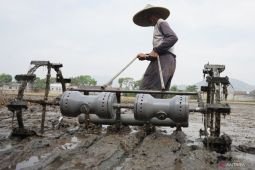 Uji coba sistem tanam benih langung antisipasi kemarau