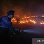 BNPB urges residents in Kalimantan, Sumatra to monitor air quality