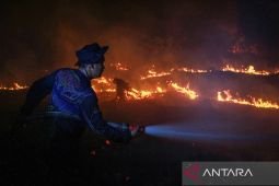 BNPB urges residents in Kalimantan, Sumatra to monitor air quality