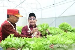 Pemkab Sumenep perkuat kapasitas petani sukseskan swasembada pangan