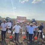 SGN tanam perdana perluasan areal tebu guna perkuat produksi gula