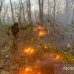 Petugas TN Baluran Situbondo amankan terduga pelaku pembakaran hutan