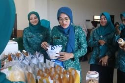 TP PKK Probolinggo berdayakan ekonomi keluarga gali sumber daya desa