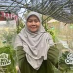 Pangan organik dari Malang; membangun ekosistem untuk rantai kehidupan
