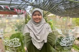 Pangan organik dari Malang; membangun ekosistem untuk rantai kehidupan