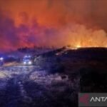 Tunisia evakuasi lebih dari 100 keluarga akibat kebakaran hutan