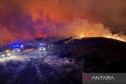 Tunisia evakuasi lebih dari 100 keluarga akibat kebakaran hutan