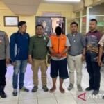 Balai Gakkum sebut terduga pembakar TN Baluran berulang kali beraksi