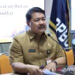 BPBD Jember dukung APH beri sanksi tegas pelaku karhutla