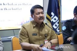BPBD Jember dukung APH beri sanksi tegas pelaku karhutla