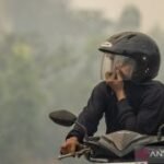 Environment Ministry takes legal action on 21 firms over forest fires