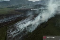 Menhut pastikan siaga karhutla hadapi puncak El Nino pada September