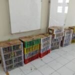 Kemenhut gagalkan perdagangan 190 burung liar di pelabuhan Surabaya