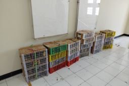Kemenhut gagalkan perdagangan 190 burung liar di pelabuhan Surabaya