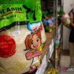 BPS catat harga beras medium hingga premium naik