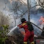 Menhut ingatkan untuk tidak lengah seiring turunnya hotspot karhutla