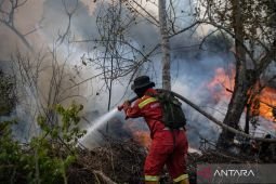 Menhut ingatkan untuk tidak lengah seiring turunnya hotspot karhutla
