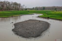 Pemanfaatan Waduk Saradan jadi lahan pertanian saat kemarau