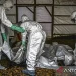 Kasus Ebola di Kongo meningkat jadi 6.604 kasus