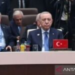 Kantor Erdogan: Turki berupaya redakan ketegangan Iran-AS